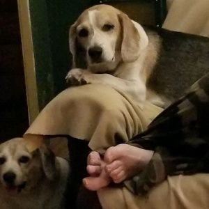 Meet your Posher, Sharon